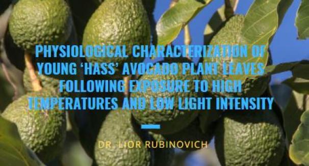 Physiological Characterization of Young ‘Hass’ Avocado Plant Leaves Following Exposure to High Temperatures and Low Light Intensity - Dr. Lior Rubinovich