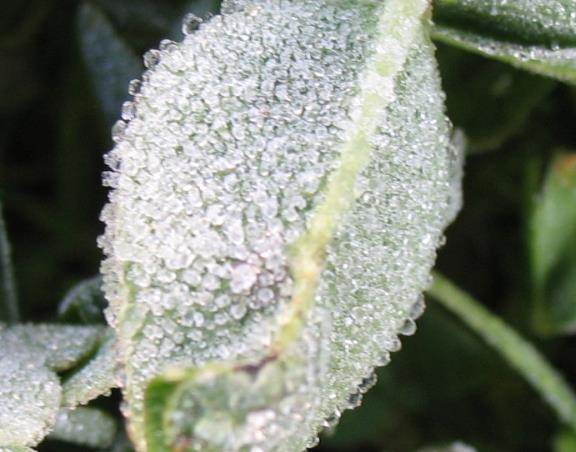 Environmental Physical Chemistry Laboratory