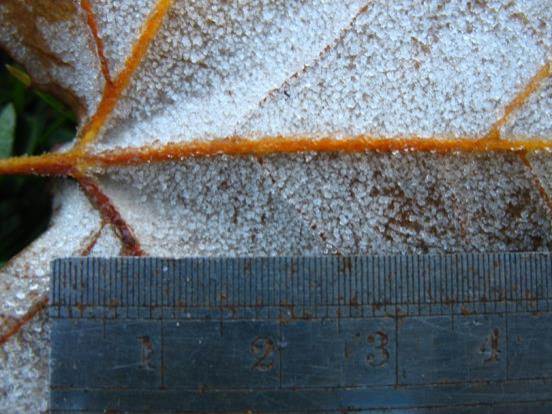 Environmental Physical Chemistry Laboratory