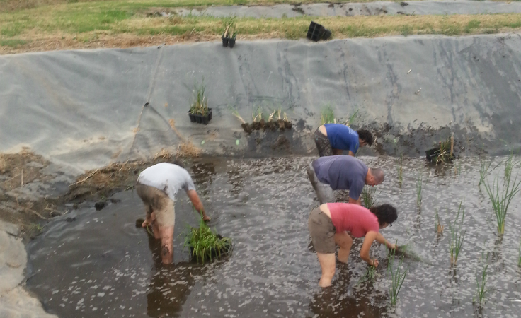 field work