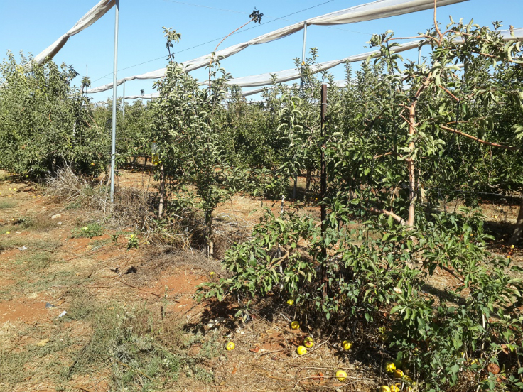 field work