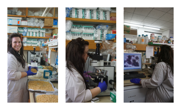Phytopathology, Biological Control