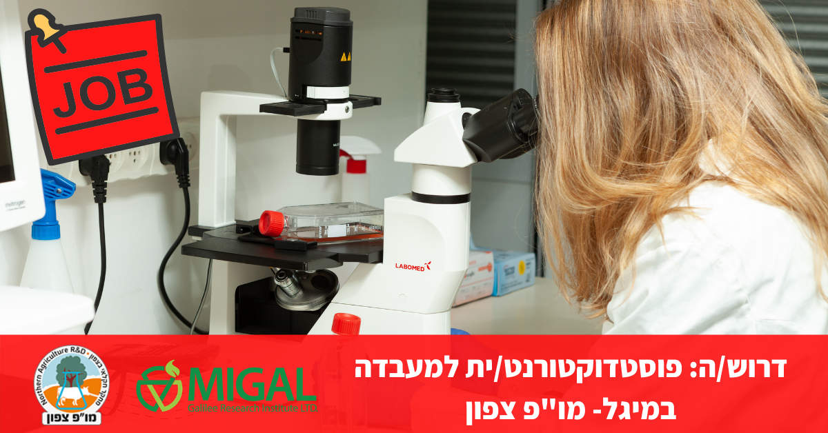 דרוש/ה: פוסטדוקטורנט/ית למעבדה במיגל- מו"פ צפון