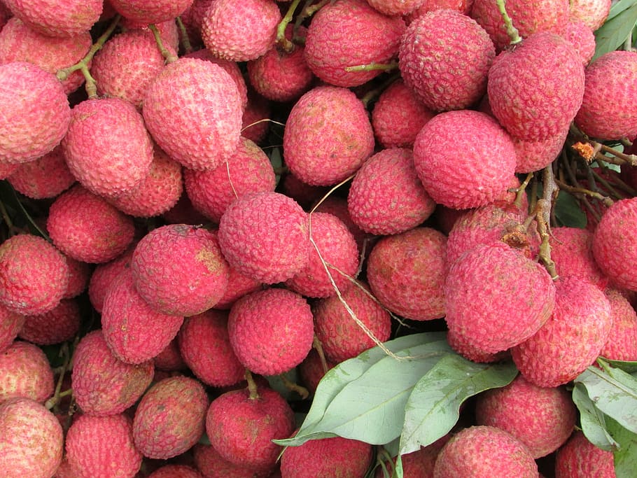 Litchis