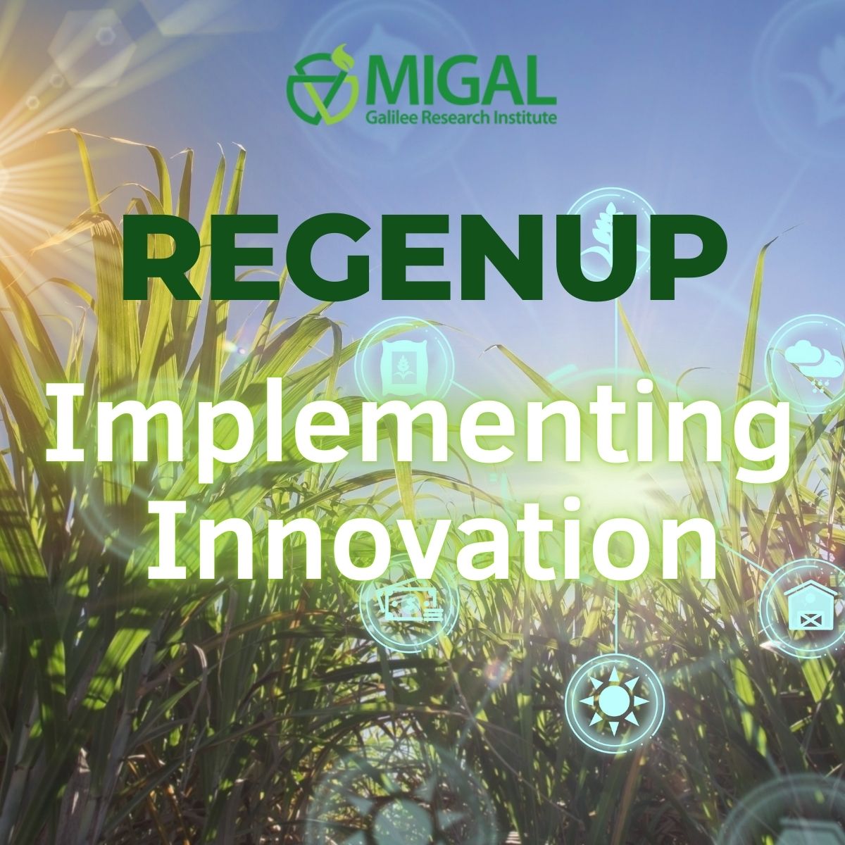 RegenUp: A New Model for Agricultural Innovation in Northern Israel
