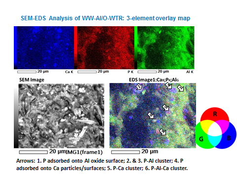 SEM-EDS Analysis of WW-AI/O-WTR