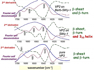 Clay-organic interactions