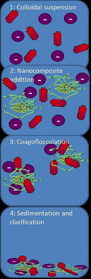 Coagoflocculation of winery effluents using clay-polymer nanocomposites