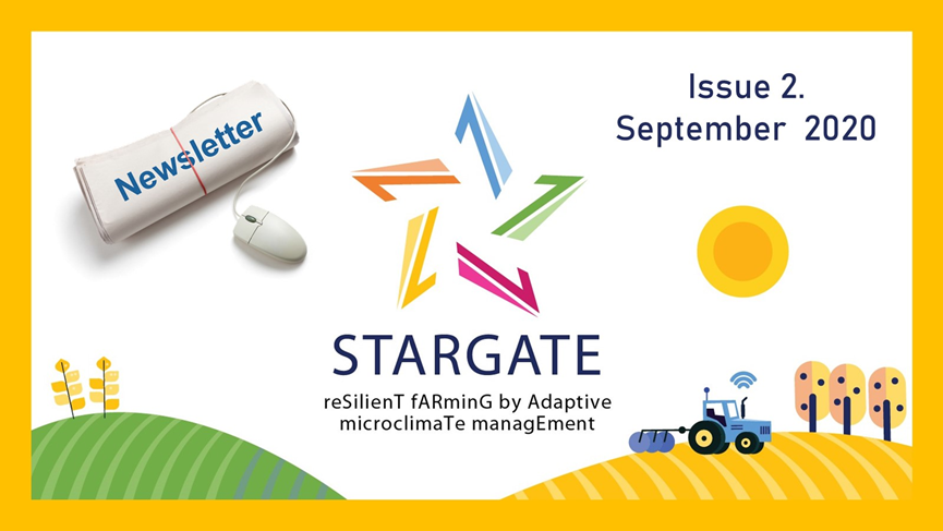  STARGATE Newsletter issue 2