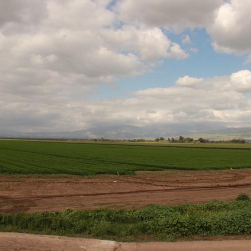 hula valley skies