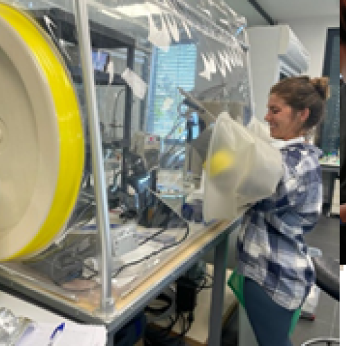 Shira in the anerobic chamber