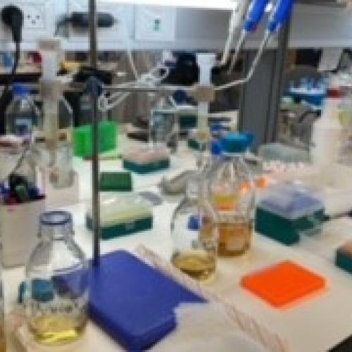 Plastic degrading enzyme purification