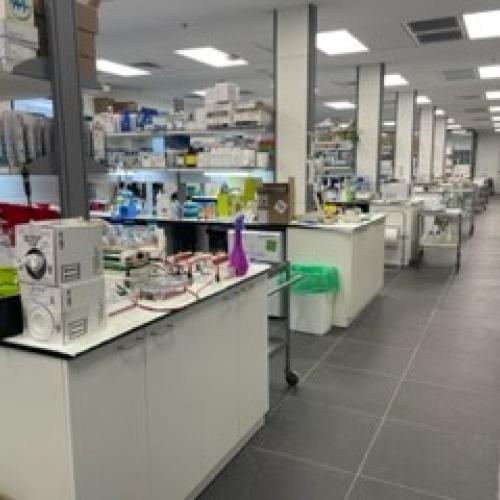Our new lab