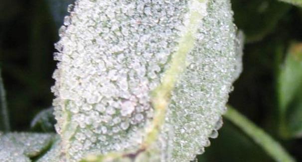 Environmental Physical Chemistry Laboratory