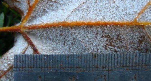 Environmental Physical Chemistry Laboratory