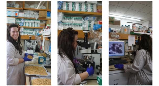 Phytopathology, Biological Control