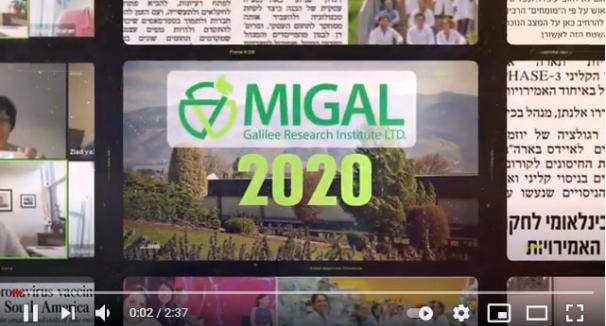 Migal's Year in Review 2020 