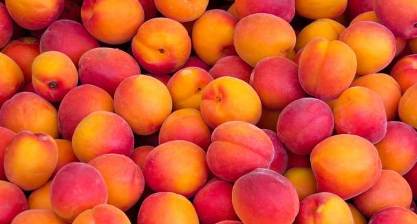 Apricots