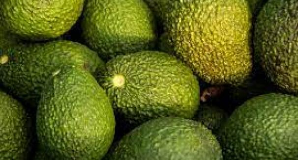 Avocados