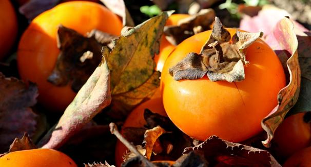 Persimmons