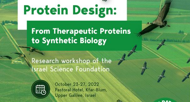 Advances in Protein Design: From Therapeutic Proteins to Synthetic Biology