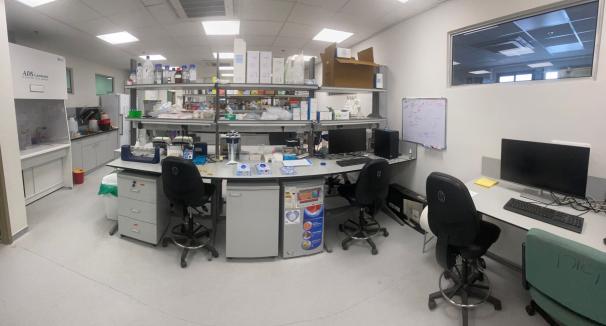 our lab now