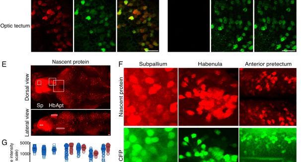 a figure from Or's research