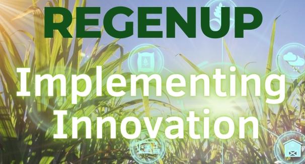 RegenUp: A New Model for Agricultural Innovation in Northern Israel