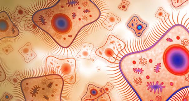 Molecular and Computational Biotechnology