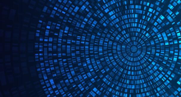 The Bioinformatics and Genomics Center