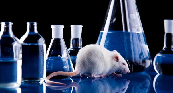 Preclinical Research Center