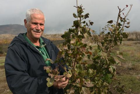 Success Stories (coming soon)