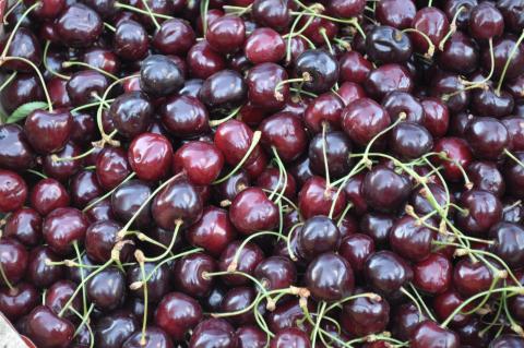 Cherries