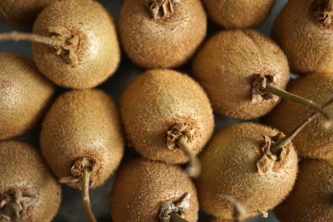 Kiwis