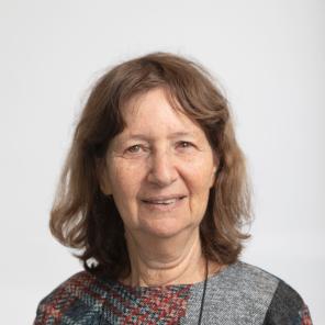 Prof. Rachel Amir
