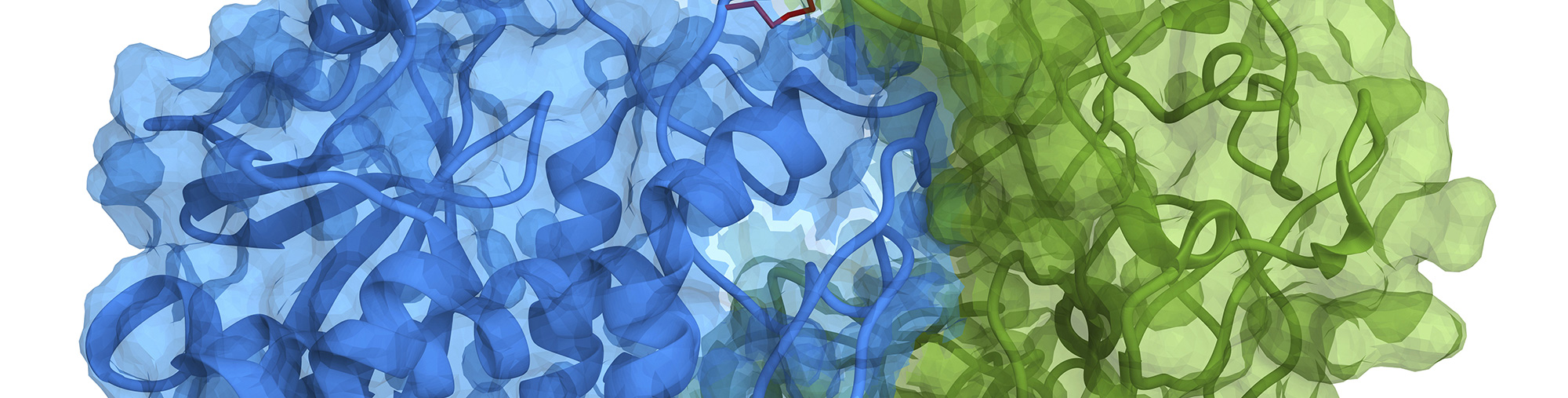 Powerhouse of Research Excellence